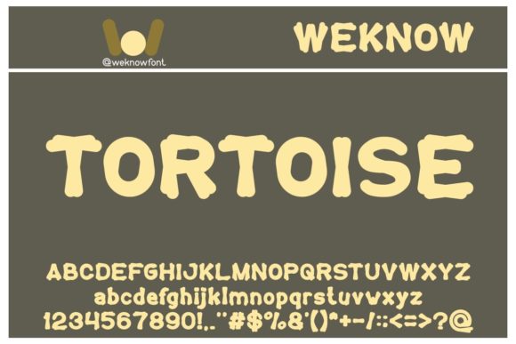 Tortoise Display Font for Bold Branding